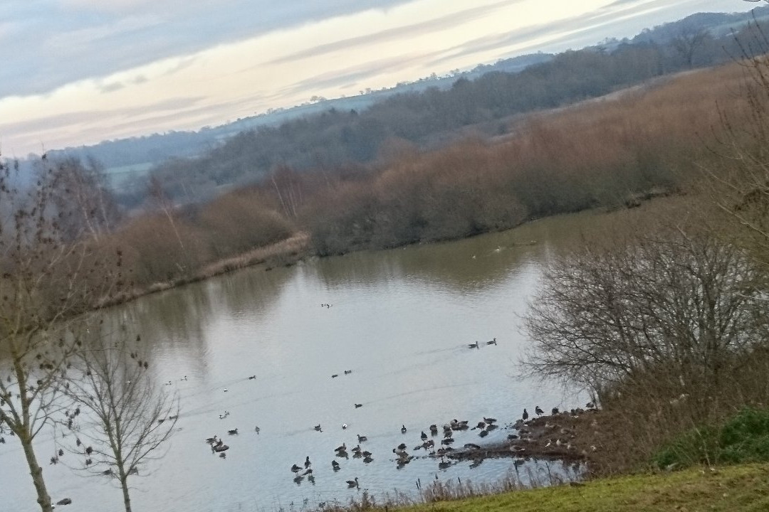 Marfield Wetlands Nature Reserve景点图片