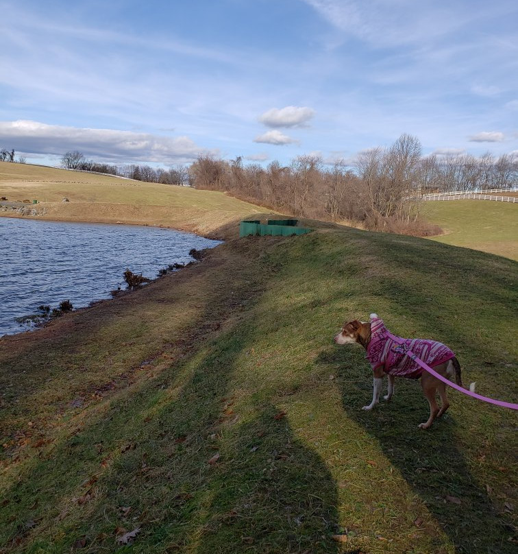 Carousel Park & Equestrian Center-威尔明顿必去景点