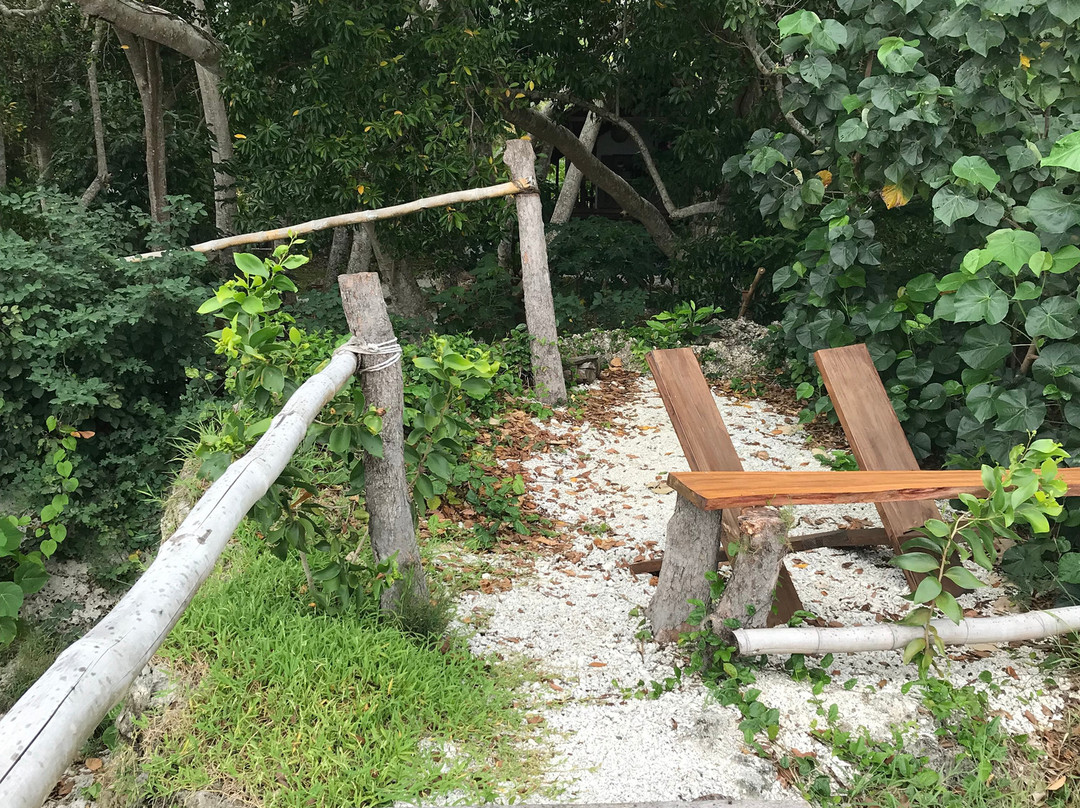 Divi's Boutique Retreat主图