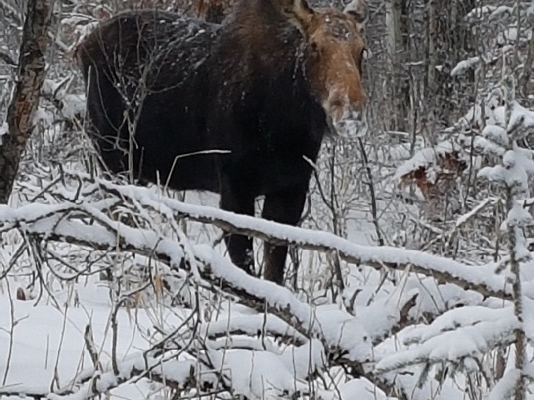 The Resort at Cypress Hills主图