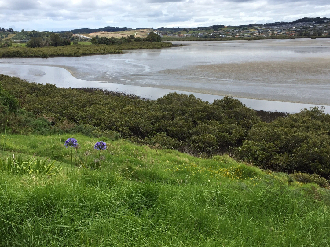 Orewa – Te Ara Tahuna Estuary Cycleway-奥雷瓦必去景点