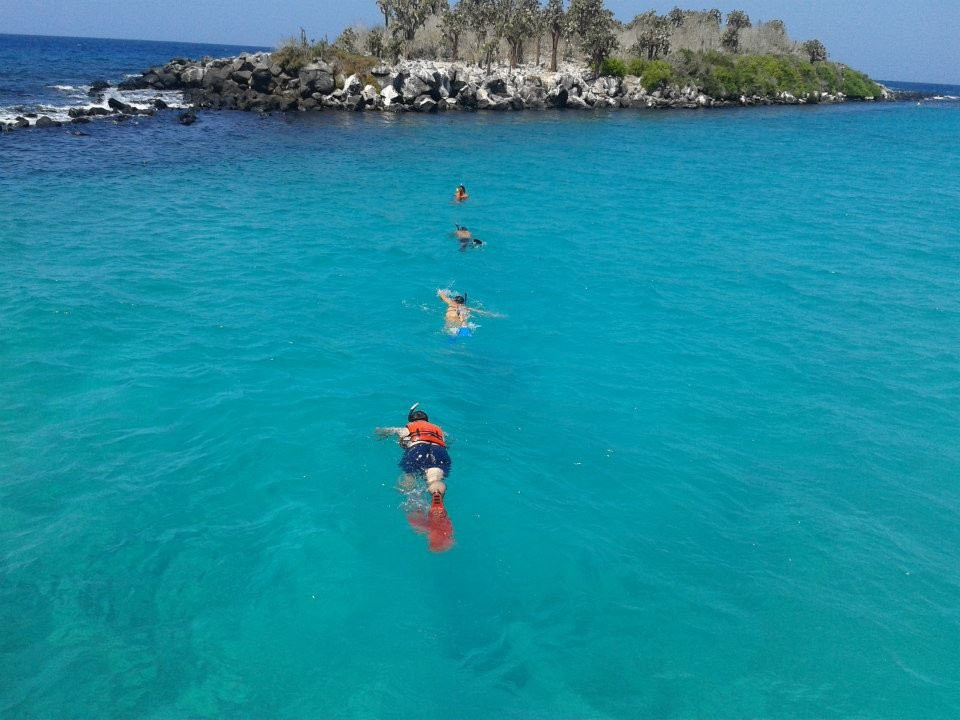 Galapagos For You-阿约拉港必去景点