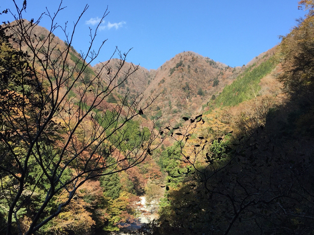 Yushin Valley景点图片