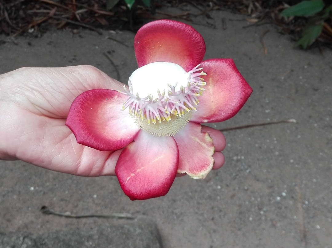 卡乐菲宾馆主图