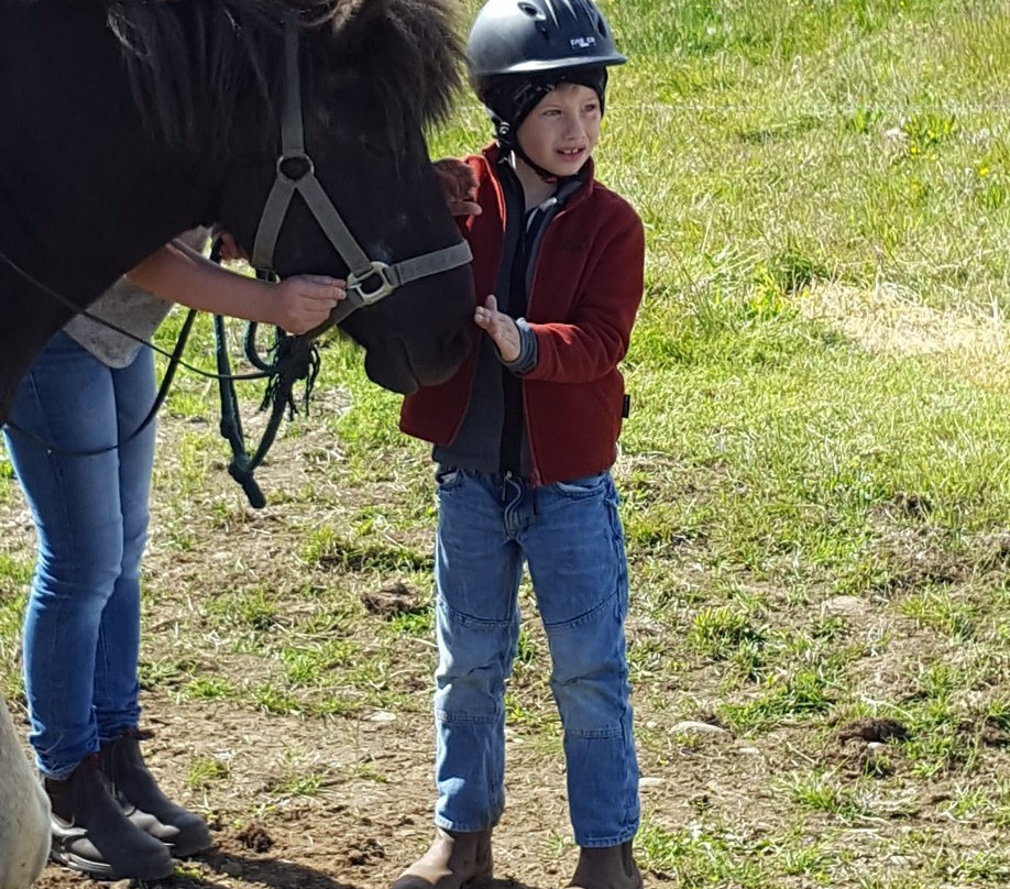 Stori-Bakki Riding Tours-埃伊尔斯塔济必去景点