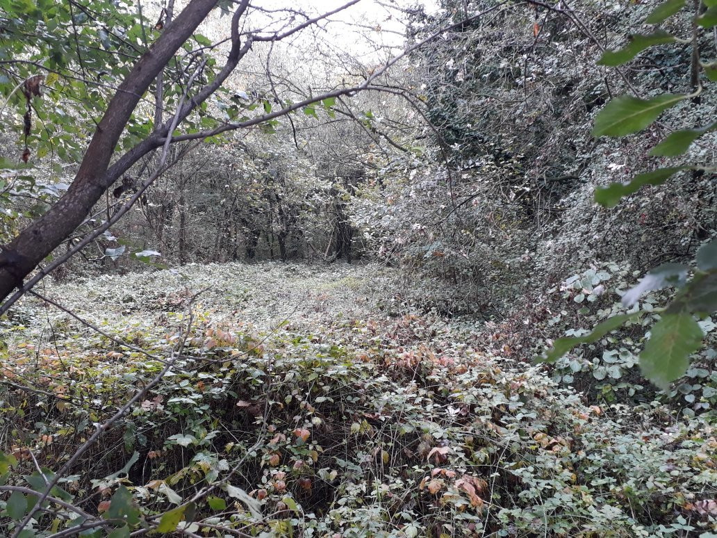 Oasi WWF San Giuliano Milanese景点图片