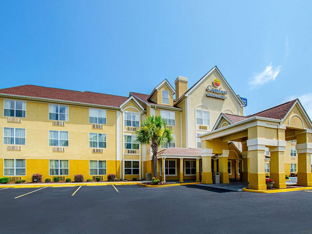 Comfort Inn & Suites Santee I-95主图