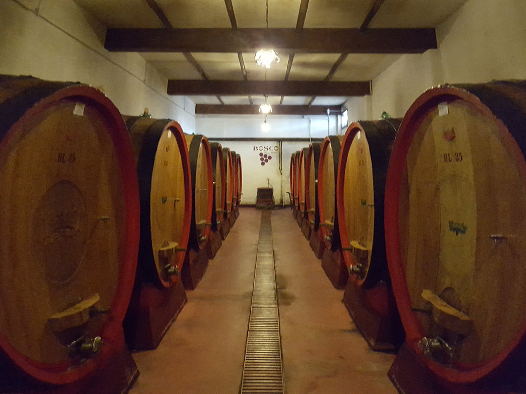 Cantine Bosco Nestore景点图片