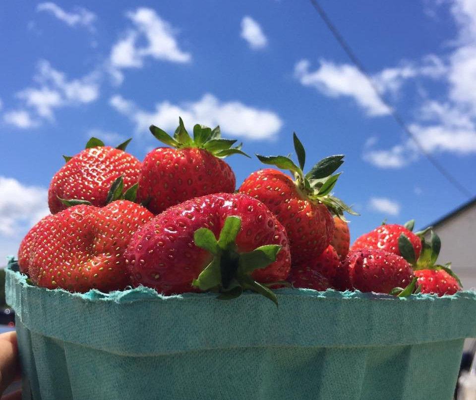 Von Thun's Country Farm Market-Monmouth Junction必去景点