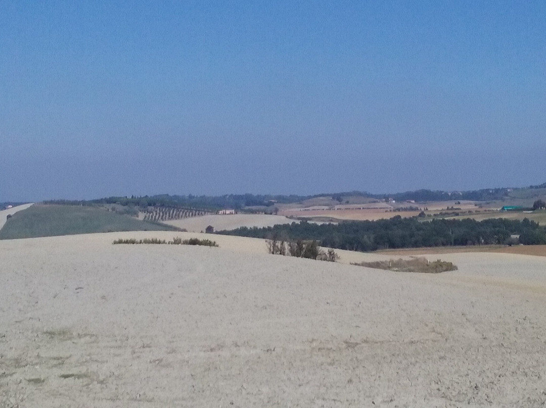 Anello delle colline Lorenzana-Orciano Pisano景点图片