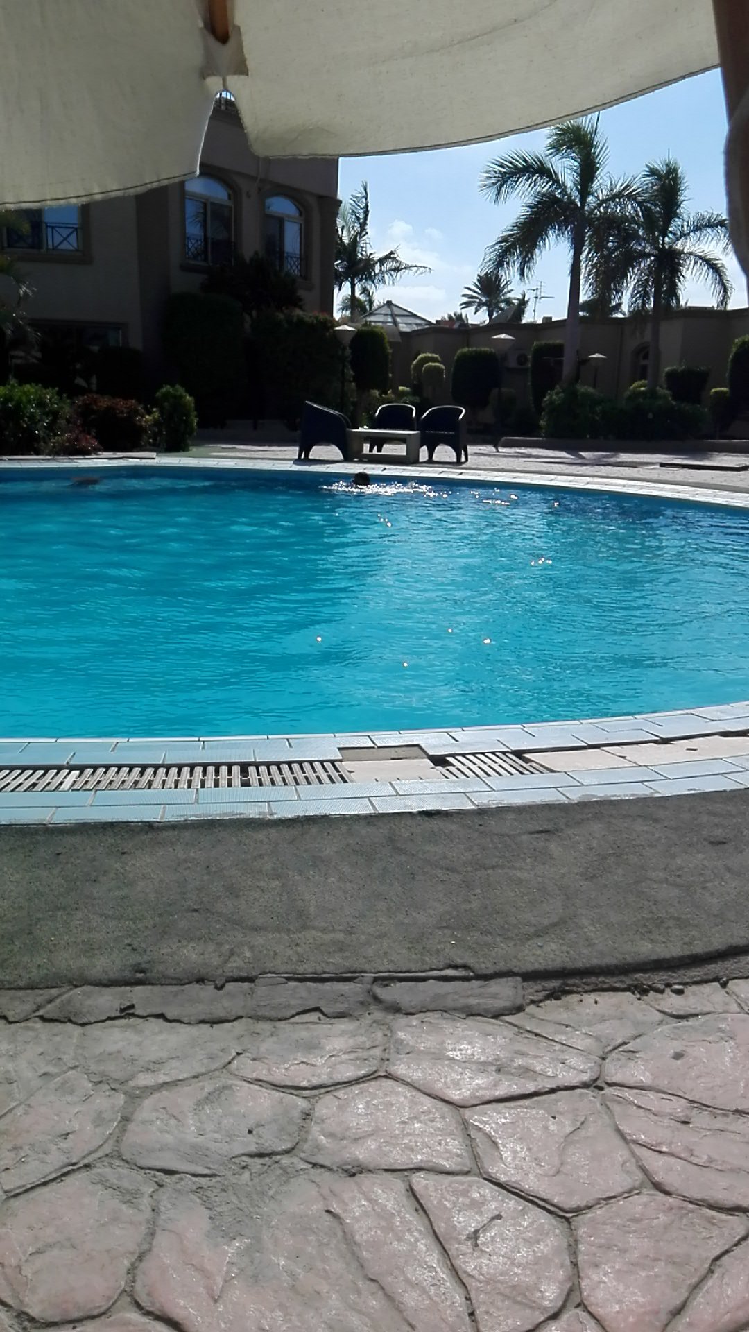 Lagoon Hotel and Spa Alexandria-泳池
