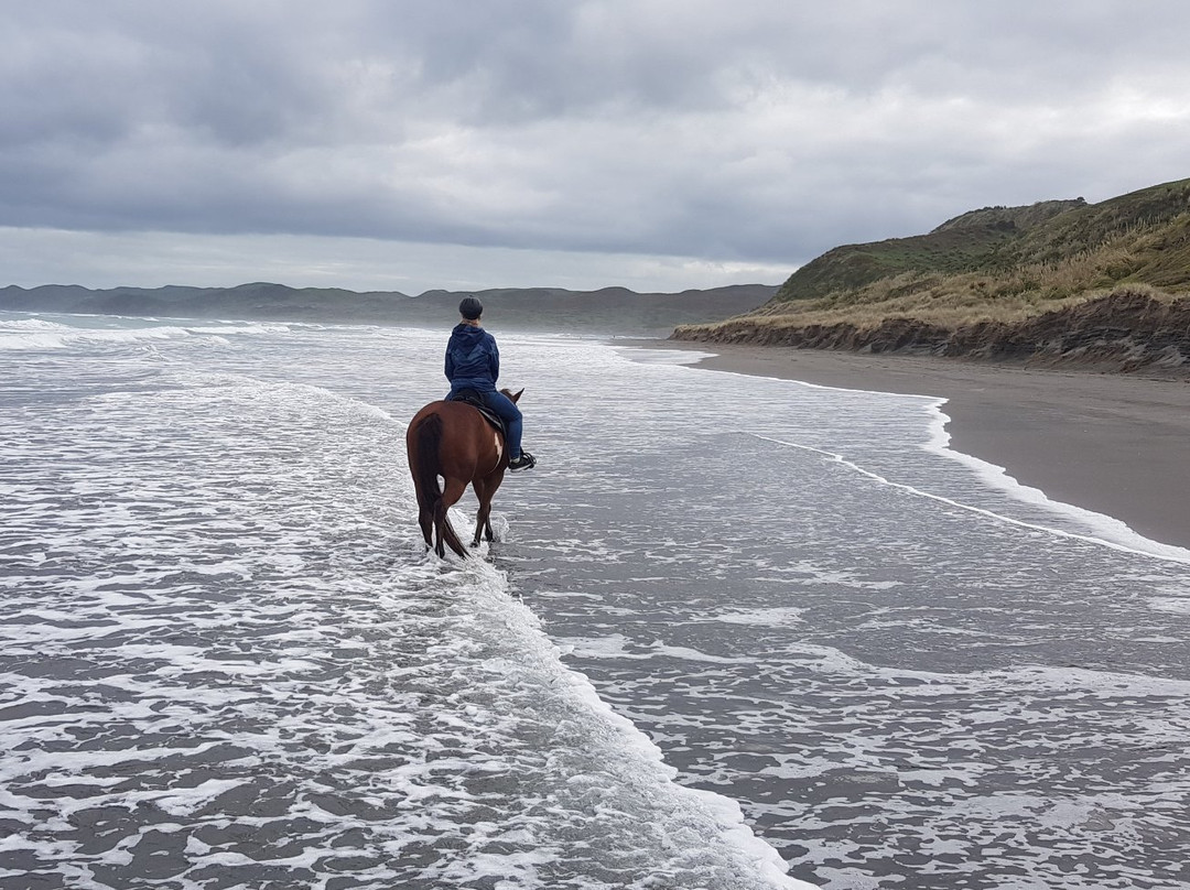 Surf & Turf Horse Riding Raglan-拉格伦必去景点