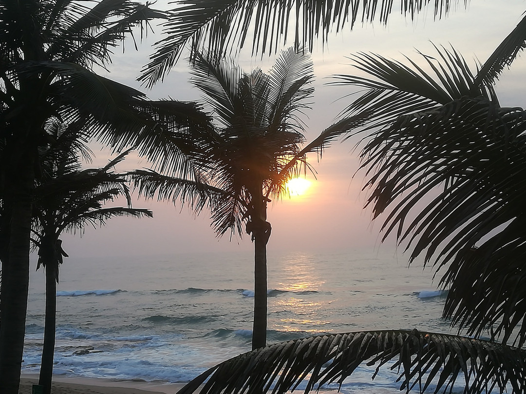 Salt Rock Hotel & Beach Resort主图