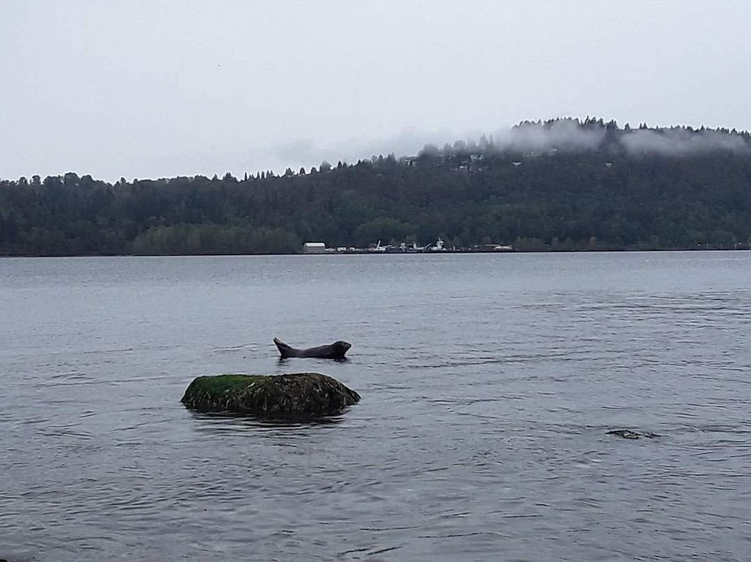 Cates Park-北温哥华必去景点
