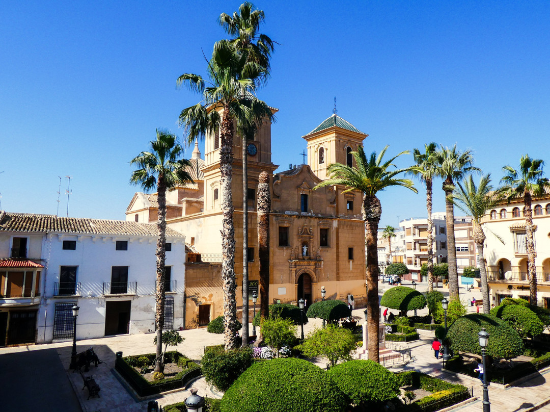 Nuestra Senora de la Asuncion Iglesia Parroquial景点图片