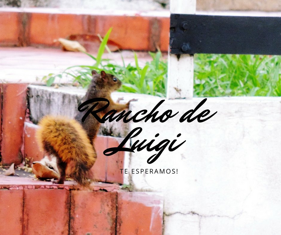 Finca Hotel El Rancho de Luigi主图