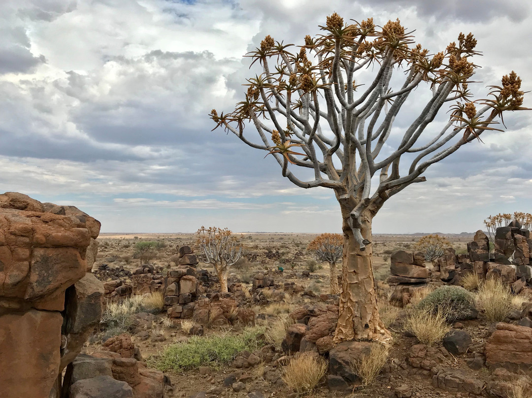 Garas Park Camp-Keetmanshoop必去景点