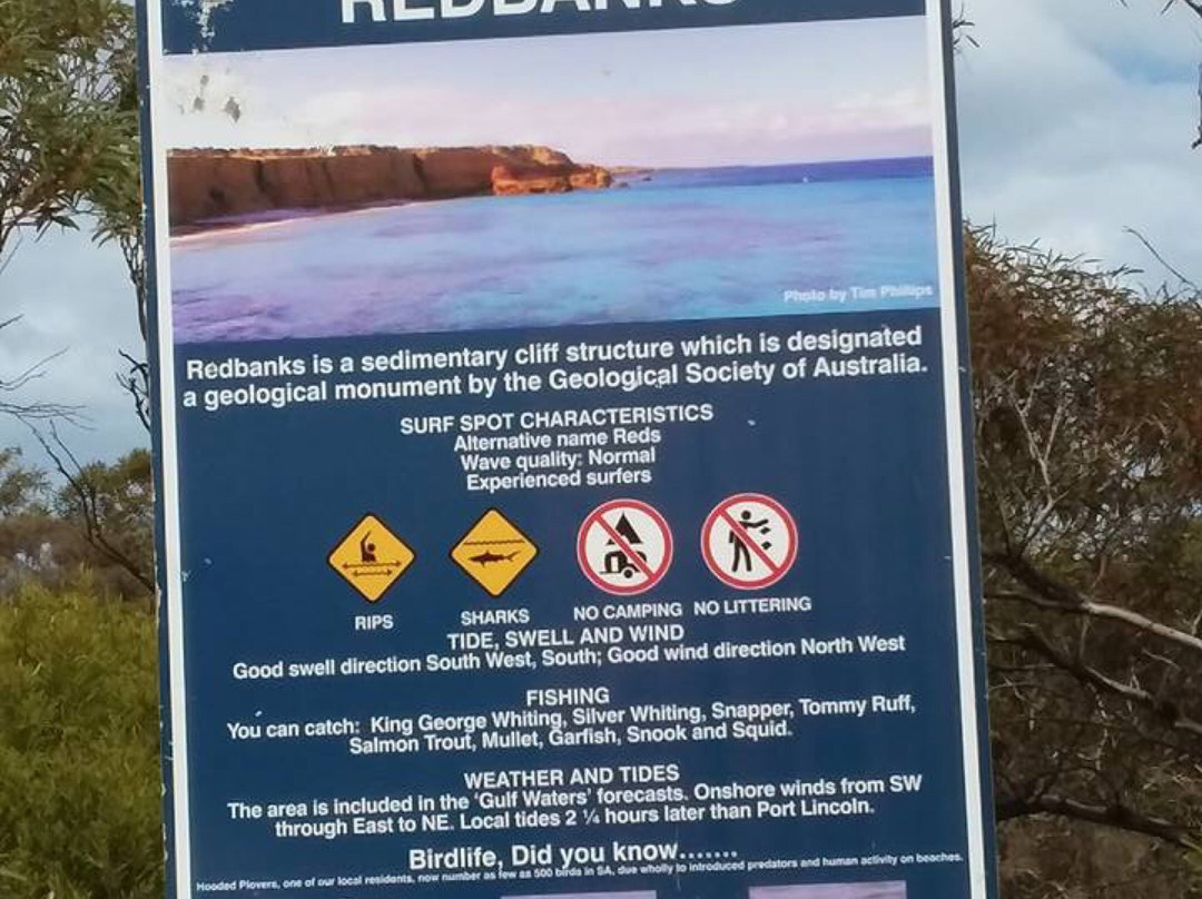 Redbanks Beach-Arno Bay必去景点