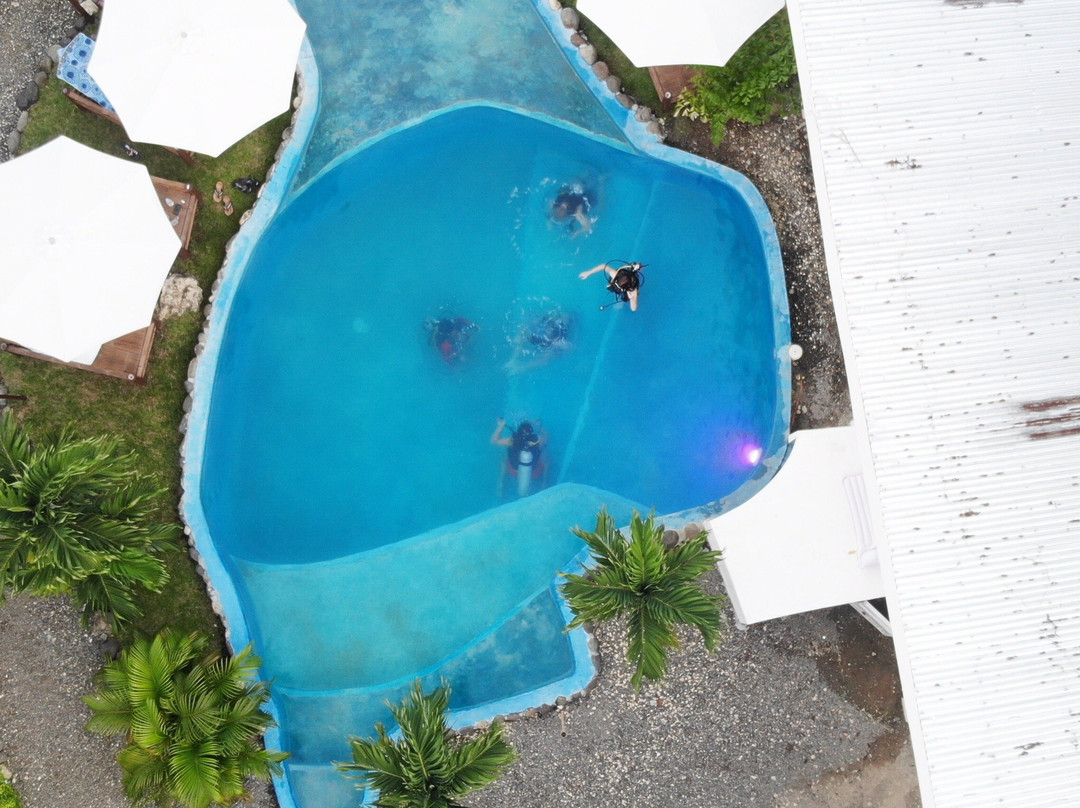 Oceanlife Explorers主图