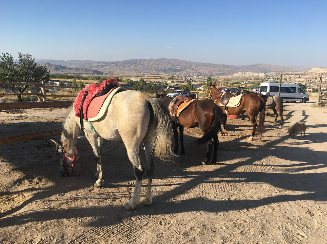 Uchisar Horse Riding-内夫谢希尔必去景点