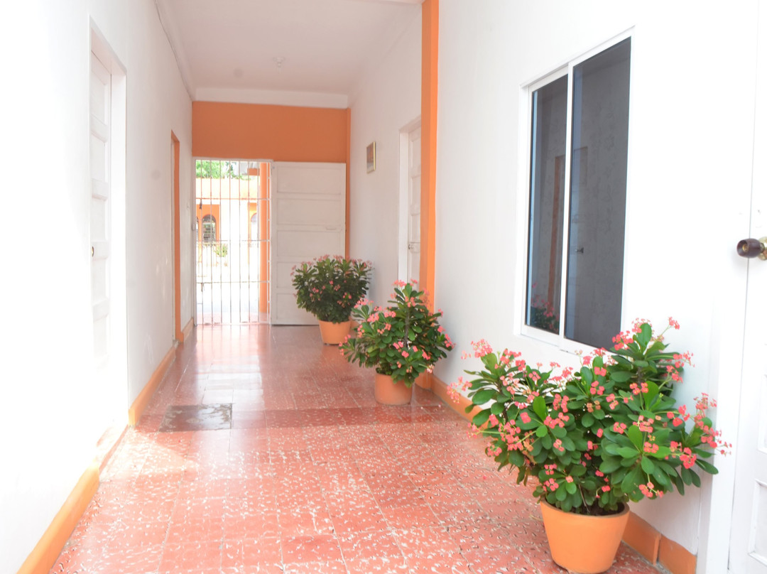 Las Antillas Casa Hotel主图