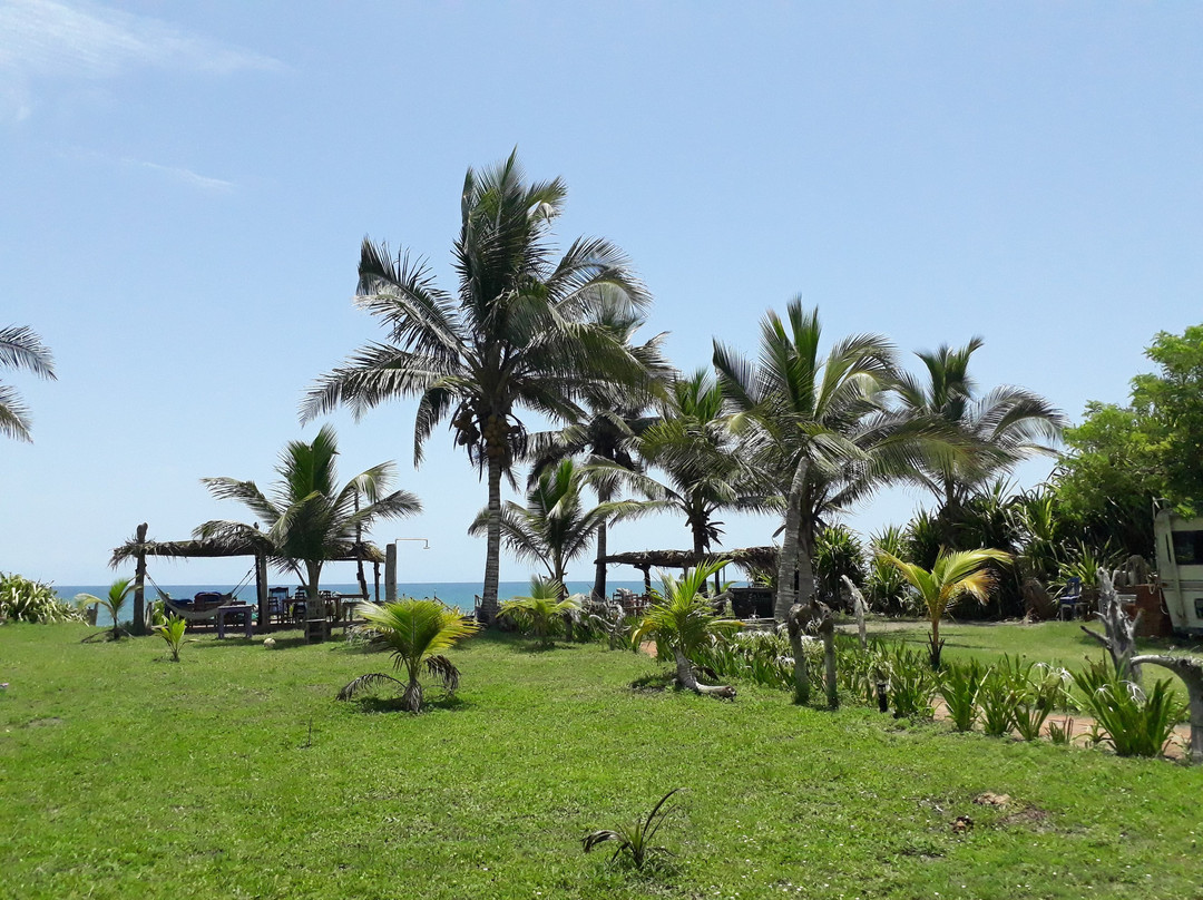 Hotel Coco Loco主图