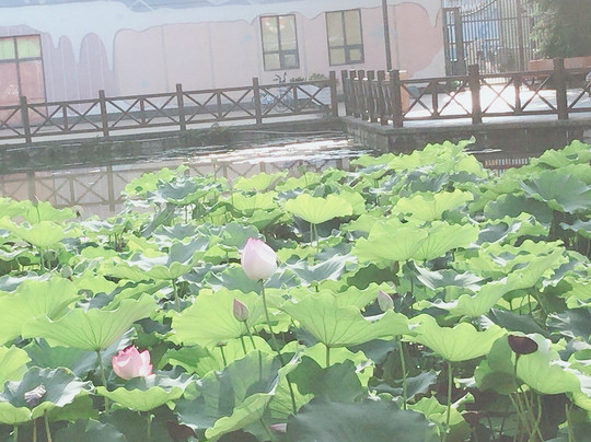 海昌极地海洋世界景区-成都必去景点