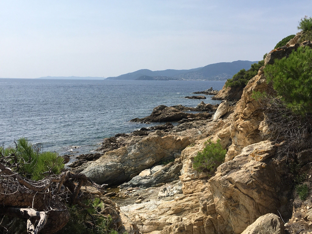 Plage Des Brouis