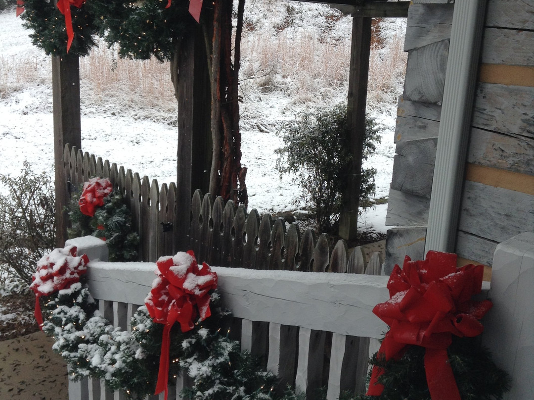 Joanie M Mcdavid Home-金斯波特必去景点