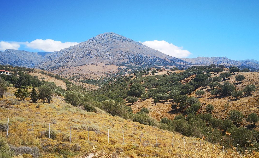 Samothraki Beach Apartments & Suites Hotel主图