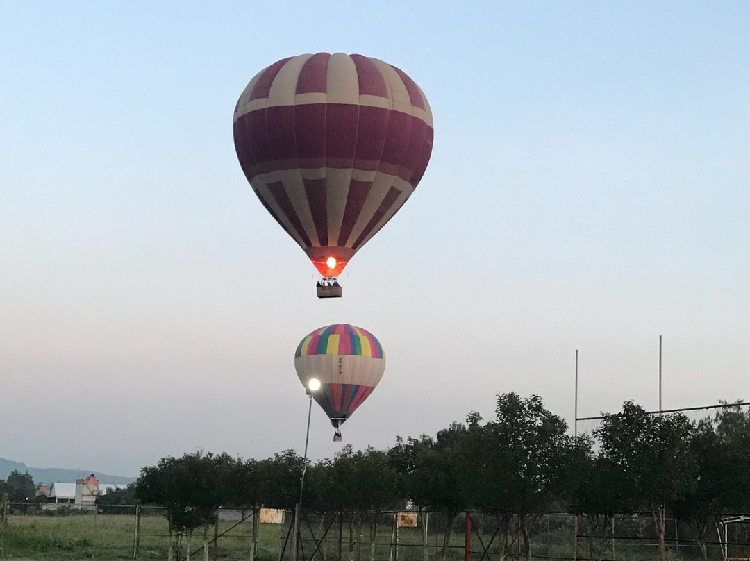 Cameron Balloon Flights-特拉尔内潘特拉必去景点