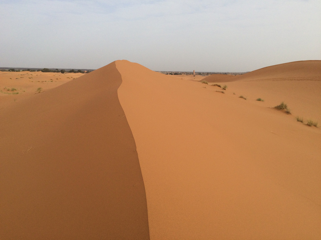 Auberge Kasbah La Rose De Sable主图