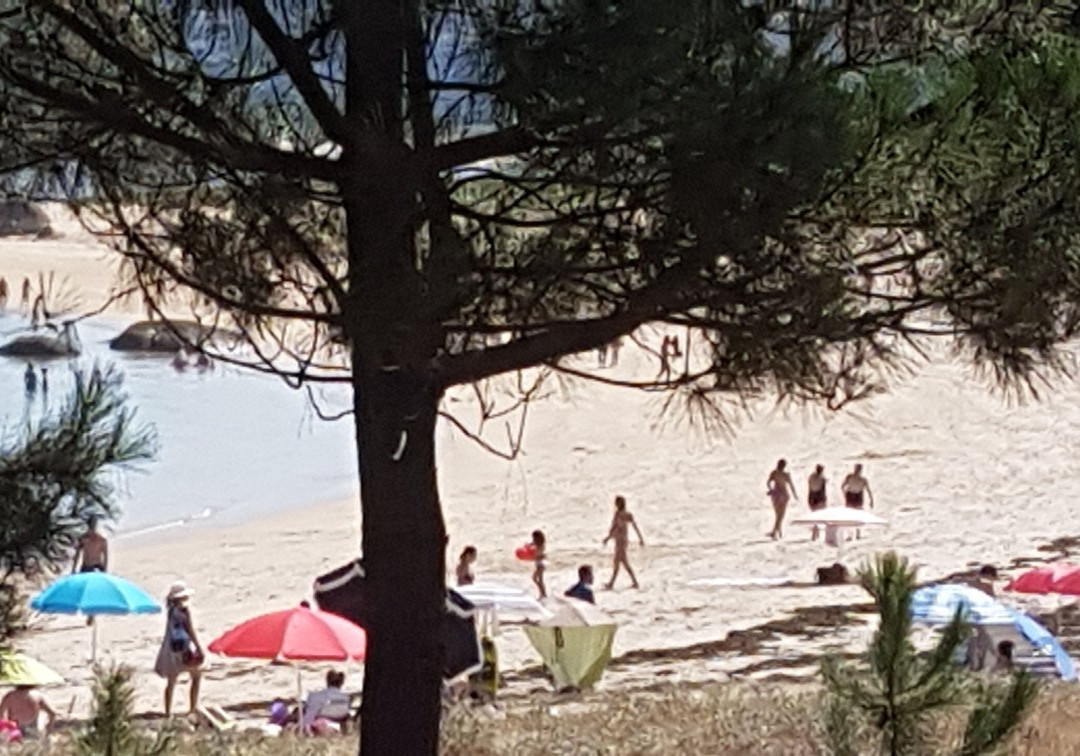 Playa Area Grande-El Grove必去景点