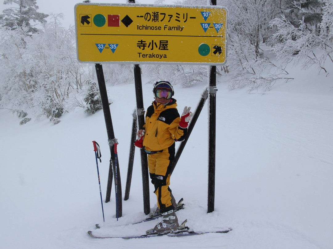 Ichinose Family Ski Resort景点图片