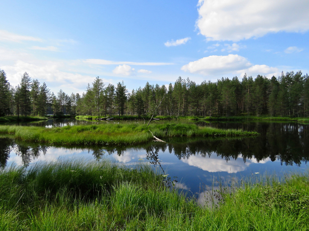 Tiilikkajärven Kansallispuisto景点图片