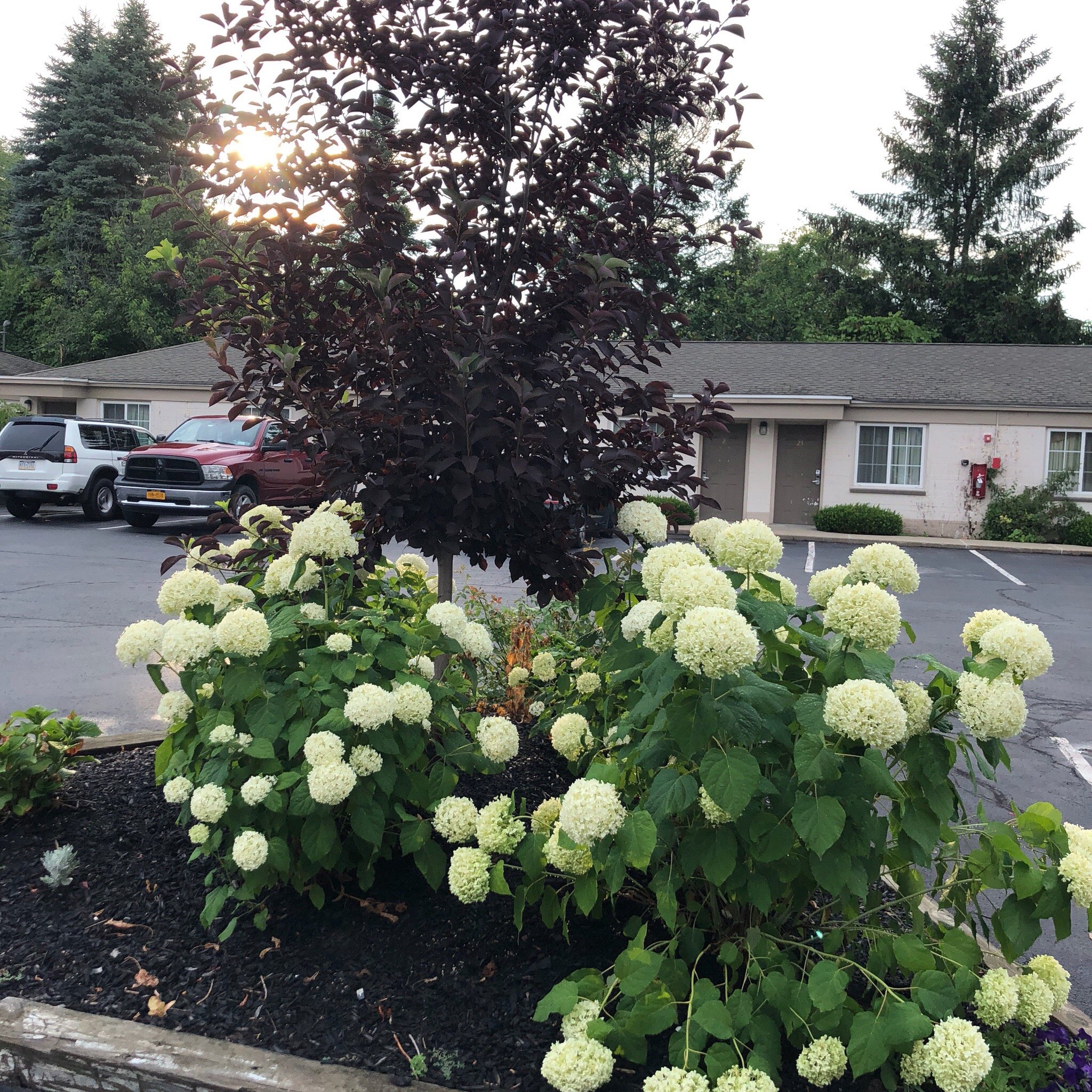 Americas Best Value Inn Albany East Greenbush-浴室