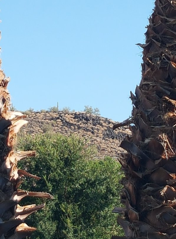 Happy Valley House主图