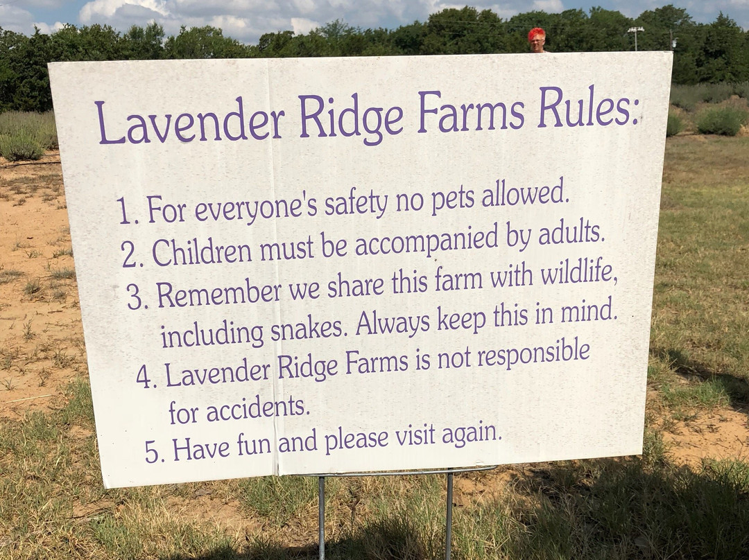 Lavender Ridge Farms景点图片
