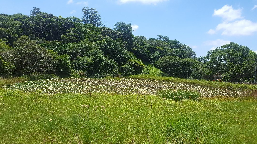 New Germany Nature Reserve景点图片