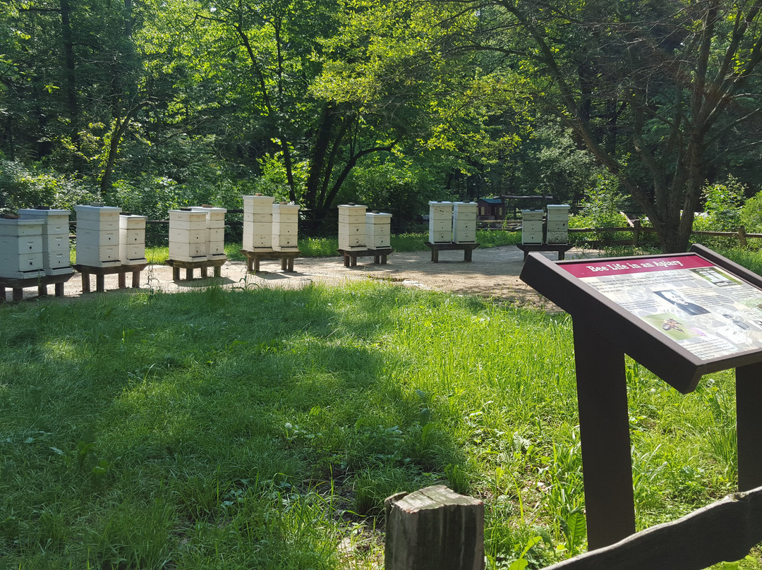 River Trail Nature Center-诺斯布鲁克必去景点