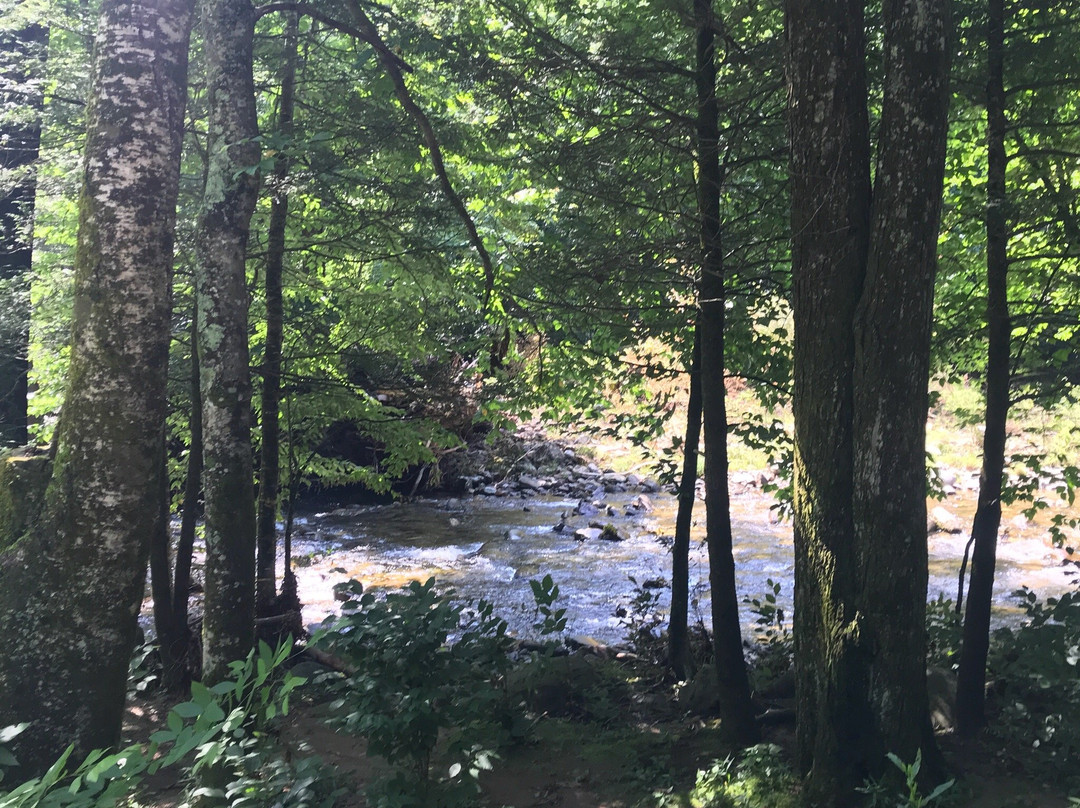 Black Mountain Campground