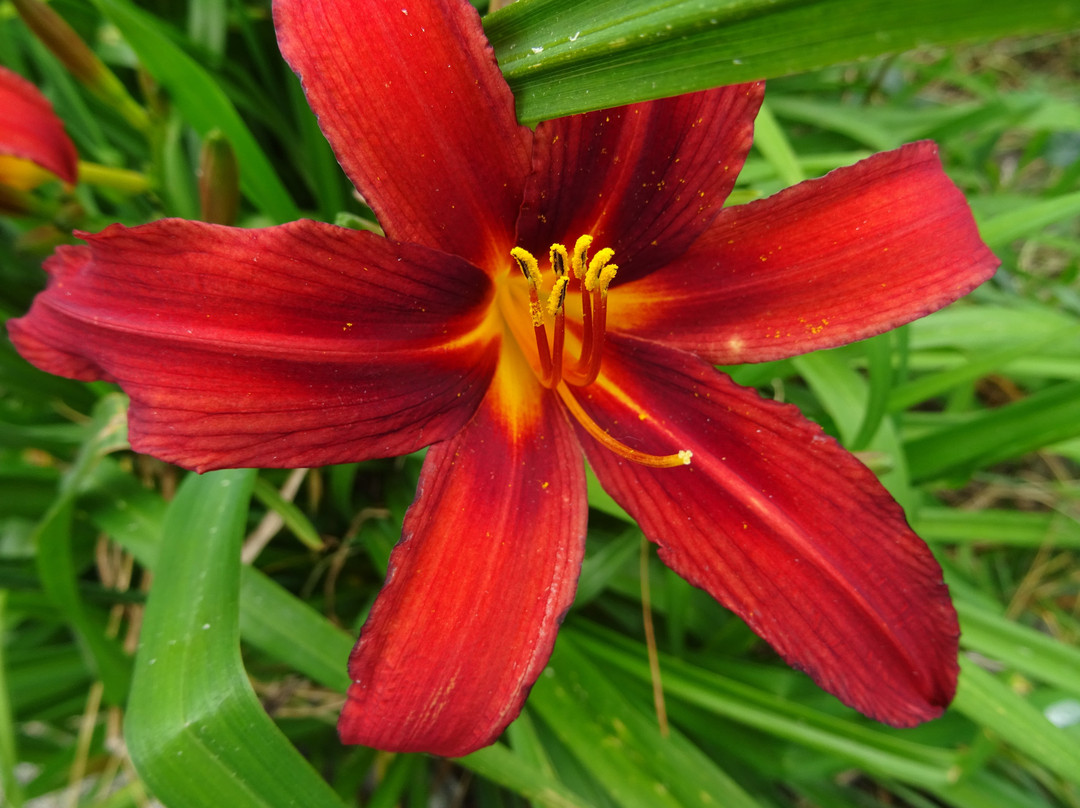 Kwekerij en Kijktuin Aan de Dijk-Oudeschip必去景点