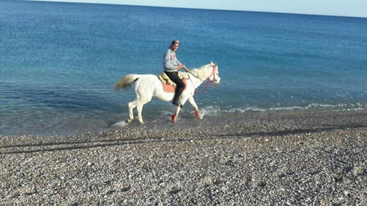 Horse Riding To The Beach-罗德城必去景点
