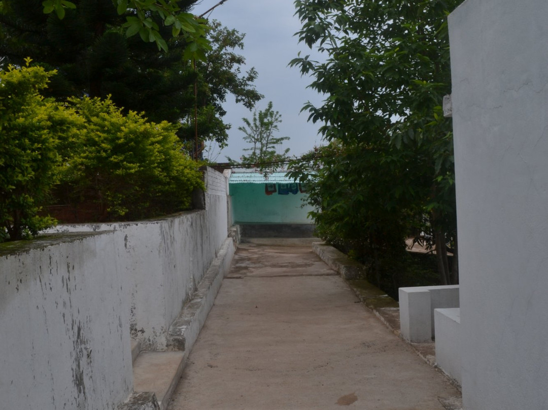 Deers Eco Home主图