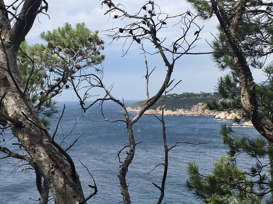 Calanque la Galere景点图片