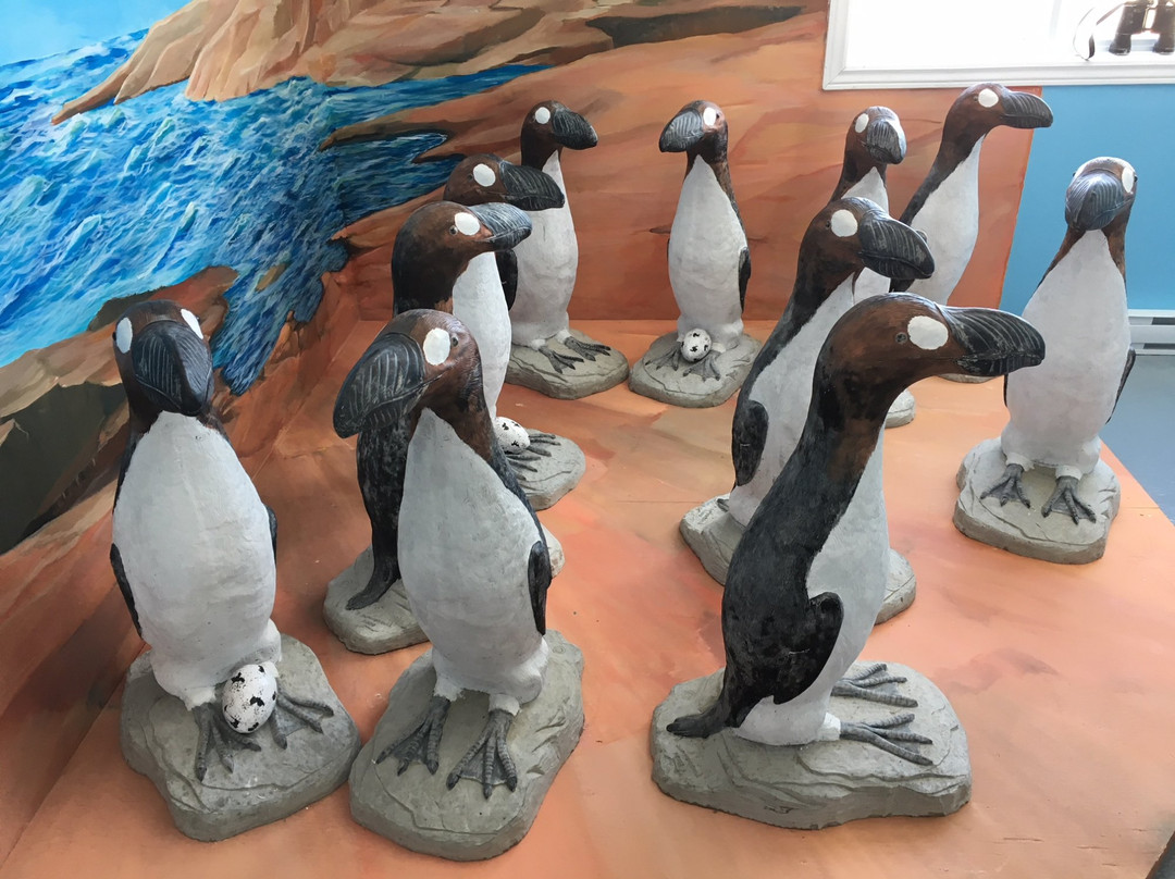 Durrell Museum景点图片