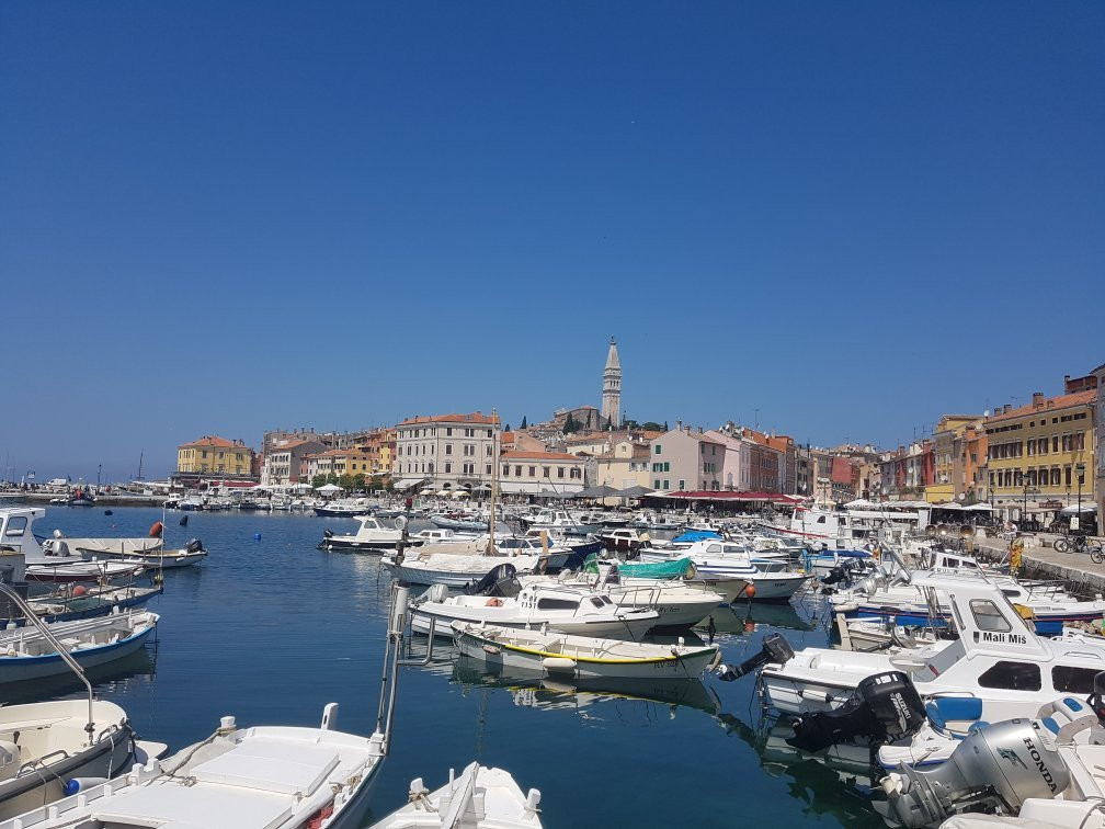 Fish Picnic - Lim Fjord-罗维尼必去景点