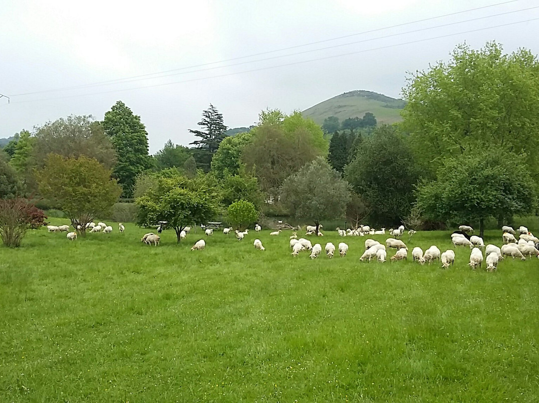 赛伦希尼亚庄园酒店主图