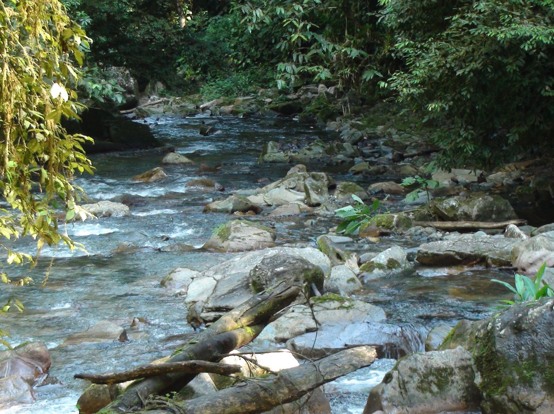 Cachoeira das Andorinhas-伊波兰加必去景点