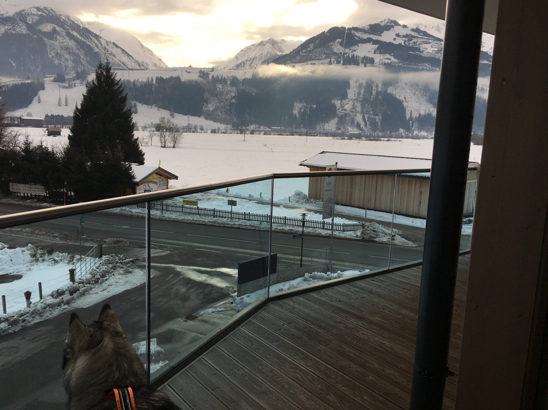 Sonja Alpine Resort主图